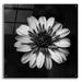 Latitude Run® Sunny Bloom Monochrome by Leah McLean - Unframed Print Plastic/Acrylic in White | 36 H x 36 W x 0.2 D in | Wayfair
