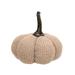 The Holiday Aisle® Burnt Knit Pumpkin, Resin in Brown | 6 H x 6.5 W x 6.5 D in | Wayfair 10B0C5F8F22E45DF8DF7F371F8715B42