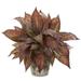 Nearly Natural 20in.Musa Leaf Artificial Plant in Weathered Oak Planter Green Burgundy