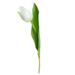 Artificial Tulips Real Touch Tulips Flowers Faux Tulip Flowers for Wedding Home Party Balcony Yard Bar Decoration(Light Yellow)
