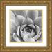 Marshall Laura 12x12 Gold Ornate Wood Framed with Double Matting Museum Art Print Titled - Garden Succulent III