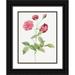 Redoute Pierre Joseph 19x24 Black Ornate Wood Framed with Double Matting Museum Art Print Titled - China Rose Bengal Animating Rosa indica dichotoma