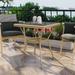 Sken 28-inch Glass Square Patio Dining Table by Furniture of America