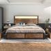 17 Stories Storage Platform Bed Metal in Brown | 40.55 H x 56.3 W x 81.3 D in | Wayfair 7F6986A91A1646688894F6C127D80CDF