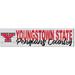 Youngstown State Penguins 10'' x 40'' Logo Sign