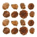 100 Pcs Wooden Pine Cone Artificial Pine Cone Decorative Pine Cone Xmas Decor