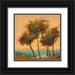 Tienhaara Michael 12x12 Black Ornate Wood Framed with Double Matting Museum Art Print Titled - Palms Setting Sun