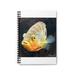 Marick Booster Gray Orange Fish Spiral Notebook | 7.24 H x 0.63 D in | Wayfair 3713370742