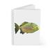 Marick Booster Green Fish w/ Specs Spiral Notebook | 7.24 H x 0.63 D in | Wayfair 3734056656