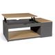 Table basse plateau relevable ELEA avec coffre bois gris et façon hêtre - Multicolore