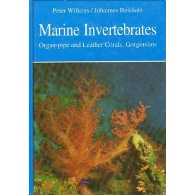 Marine Invertebrates Organ Pipe And Leather Corals Gorgonians