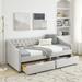 Twin Size Upholstered Tufted Sofa Bed Daybed with 2 Drawers