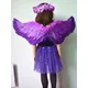 Ailes de plumes d'ange pour enfants jupe Halo Star costume de fête cosplay anniversaire cadeau