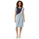 Jerseykleid INSPIRATIONEN "Jersey-Kleid" Gr. 36, Normalgrößen, blau (nachtblau, hellblau) Damen Kleider Freizeitkleider