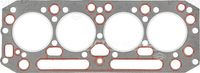 Card image cap