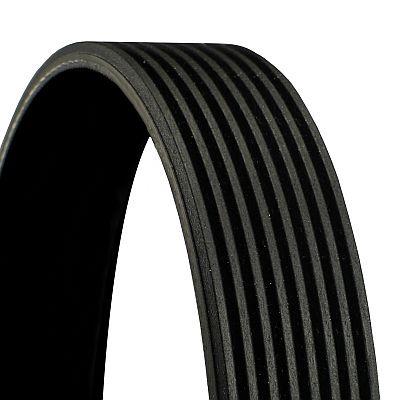 CONTINENTAL CTAM Keilrippenriemen Universal für DAF 1785489 1817890 8PK1770 Image