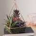Northlight Seasonal 9" Artificial Succulents Arrangement in 4-Sided Copper Metal Wire Frame Plastic/Metal | 9 H x 5 W x 5 D in | Wayfair 32556015