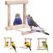 UDIYO Bird Toy for Parrot Parakeets Conures Cockatiels Cage Swing Wooden Fun Play Toy for Birds (Mirror)