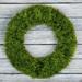 Pure Garden 50-150 Artificial Boxwood 19.5 inch Round Wreath Round - 19.5 Inches (Boxwood)