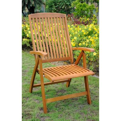 Royal Tahiti 5-Position Folding Arm Chair (Set of 2)