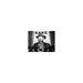 Citizen Kane Iconic Scene Alexander Kahle - Unframed Photograph Paper in Black/White Globe Photos Entertainment & Media | 8 H x 10 W in | Wayfair