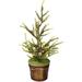 The Holiday Aisle® 1'6" Green Realistic Artificial Christmas Tree & Pinecones, Metal | Wayfair 44905E0A73D24C91A4FFC883753A283C