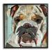 Stupell Industries Bulldog Pet Portrait Text Collage Framed Giclee Texturized Wall Art By Traci Anderson_aq-421 in Blue/Brown/Yellow | Wayfair