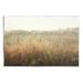 Stupell Industries Calm Nature Field Rural Grassland Wall Plaque Art By Linda Woods in Gray/Green/Yellow | 10 H x 15 W x 0.5 D in | Wayfair