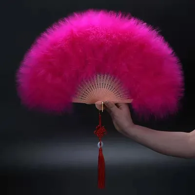 Éventail pliant en plumes japonais doux nickel é fille sombre gothique danse de cour cadeau