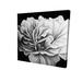 Beautiful Black & White Flower - 16X16 Print On Canvas in Black/Gray Begin Edition International Inc | 16 H x 16 W x 1.5 D in | Wayfair