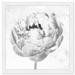 Oliver Gal Peony II - Graphic Art on Canvas Metal in Black/White | 32 H x 32 W x 0.8 D in | Wayfair 47084_30x30_PAPER_WHITE