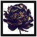 Oliver Gal Black Peony - Picture Frame Graphic Art Metal in Black/Gray/White | 32 H x 32 W x 0.8 D in | Wayfair 47118_30x30_PAPER_FLAT