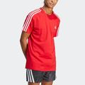 T-Shirt ADIDAS SPORTSWEAR "M 3S SJ T" Gr. 4XL, rot (better scarlet, white) Herren Shirts Sport