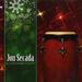 Jon Secada - A Christmas Fiesta - Christmas Music - CD