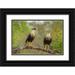 Illg Cathy and Gordon 14x11 Black Ornate Wood Framed with Double Matting Museum Art Print Titled - TX Hidalgo Co Crested caracaras on tree limb