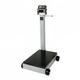 Detecto 5852F-210 500 lb Digital Portable Scale w/ 210 Weight Display Indicator, 500-lb. Capacity, Stainless Steel, 100/240 V