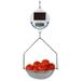 Detecto SCS30 Digital Solar Hanging Scale w/ 30 lb Capacity, 30lb/15kg Capacity, Stainless Steel