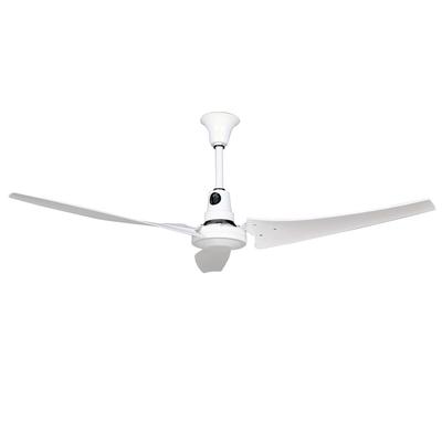 TPI E-60-CFC 60" Industrial Ceiling Fan w/ 3 Blades - Steel, 120v, White