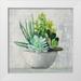 Purinton Julia 26x26 White Modern Wood Framed Museum Art Print Titled - Succulent Still Life II