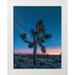 Fitzharris Tim 15x18 White Modern Wood Framed Museum Art Print Titled - Milky Way at Joshua Tree National Park