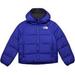 The North Face Jackets & Coats | North Face Purple Puffer Jacket | Color: Purple | Size: 2tg