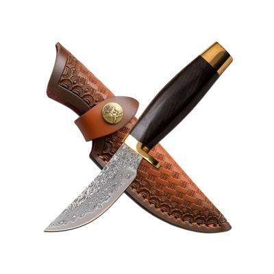 Elk Ridge Persian Fixed Blade Knife 3.5 in Damascus Steel Brown ER-050DM