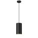 Ebern Designs 1 -Bulb 74.3" H Outdoor Hanging Lantern Metal/Steel in Black | 74.3 H x 5.91 W x 5.91 D in | Wayfair 693C2117E9C944948E97DBC15AFED6A9