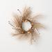 The Holiday Aisle® Artificial Pampas Grass Wreath in Brown | 15 H x 15 W x 3 D in | Wayfair D371930276E74DF58D05365903FFB653