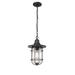 Breakwater Bay Filsaime 1 -Bulb 81.4" H Outdoor Hanging Lantern Glass/Metal/Steel in Black | 81.4 H x 10 W x 10 D in | Wayfair