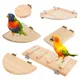 Support carré de plate-forme en bois pour oiseaux de compagnie perchoirs de branche de hamster