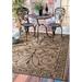 nuLOOM Kathleen Krem Indoor/Outdoor Accent Rug 2 x 3 Brown