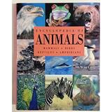 Pre-Owned Encyclopedia of Animals : Mammals Birds Reptiles Amphibians 9781875137497 /