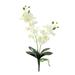 Artificial Silk Phalaenopsis Flowers Artificial Orchid Flowers Stem Plants Fake Butterfly Phalaenopsis Flowers for Home Wedding Party DèŒ…cor