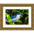 Perry William 32x23 Gold Ornate Wood Framed with Double Matting Museum Art Print Titled - Colorful black crowned night heron fishing-Florida